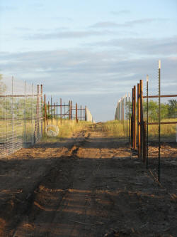 Custom fencing by Brenham Iron Works