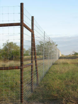 Custom fencing by Brenham Iron Works