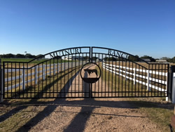 Double arch classic gate from Brenham Iron Works.